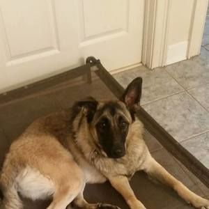 Meet your Posher, Skip